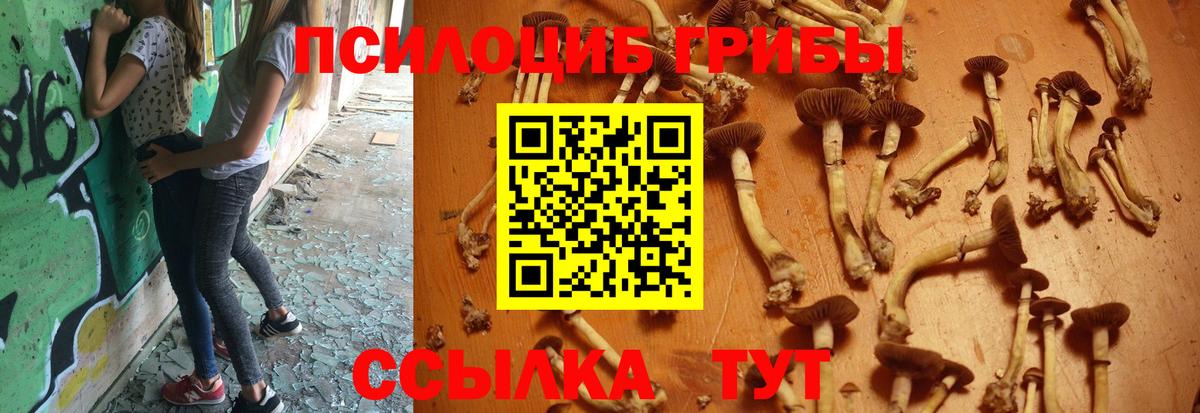 Дзержинск  Псилоцибиновые грибы MAGIC MUSHROOMS  Вход с VPN 