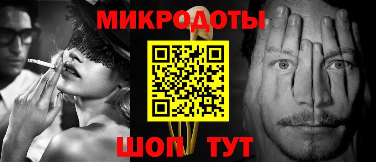Галлюциногенные грибы Psilocybe Дзержинск